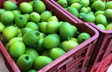 Agriturismo Villa Orchidea - Foto 30