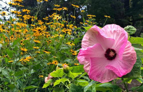 The Craftsman Farmhouse with Modern Flair - Photo 36