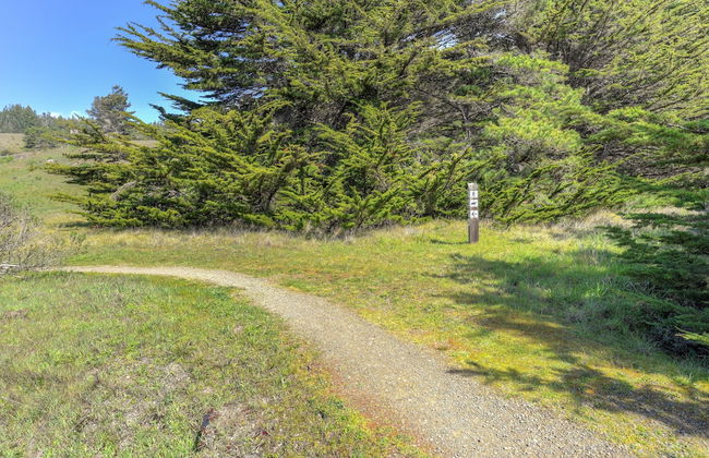 Meadow Lark - Foto 29