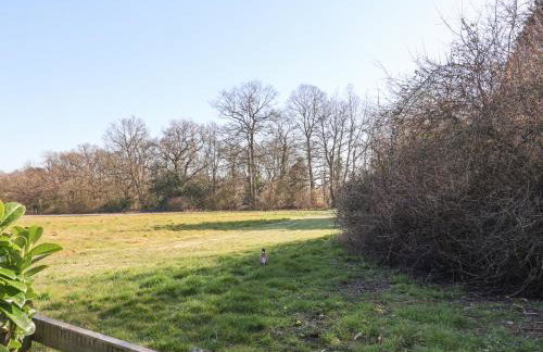 Holm Oak Lodge - Foto 40