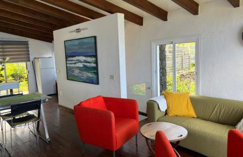 Dos Violetas - Foto 25