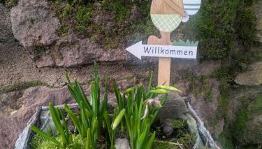 Ferienwohnung Familie Baus - Foto 4, Garden