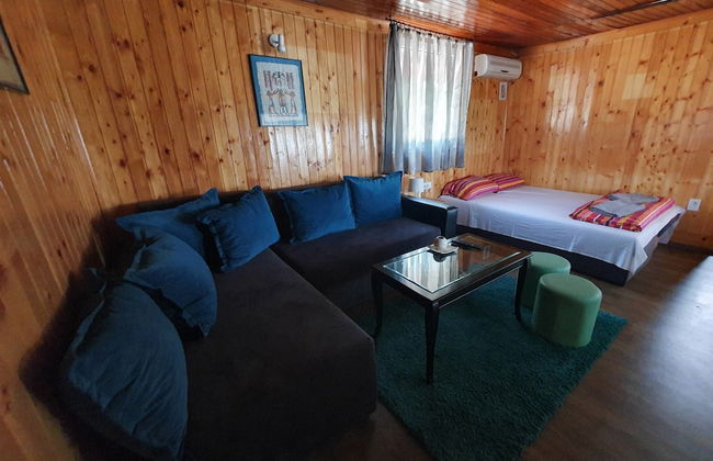 Lucky River Belgrade - Photo 5