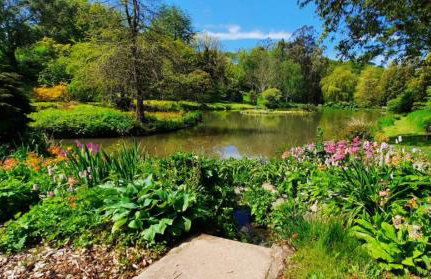 Dog friendly rural retreat with countryside views - Foto 36