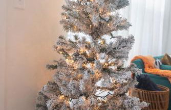 Two Story Penthouse, 2 Bedrooms with 2 and a half bathrooms, 2 Balconies, Skyline View, Pool - Foto 47