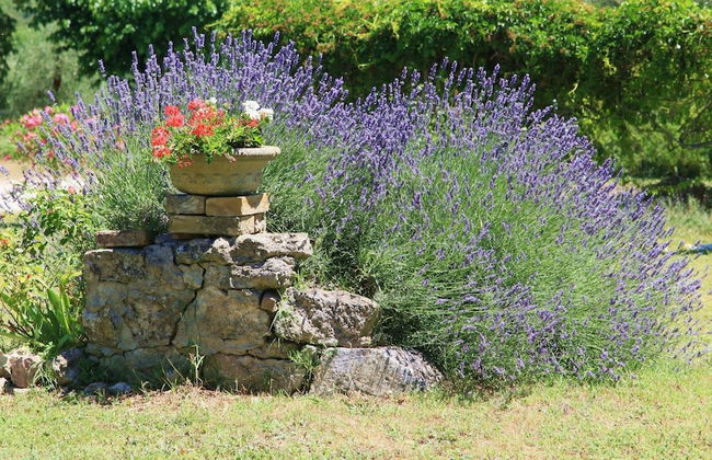 Podere Agrituristico Luchiano - Foto 32