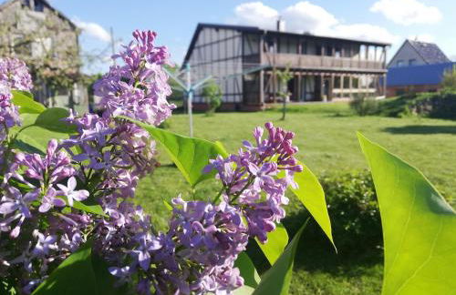 Oderbruchhütte - Photo 23