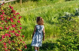 Cascina Vicentini - Foto 19