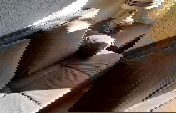 Fewos 4-Jahreszeiten - Foto 10