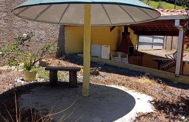 Pé na roça - Foto 12