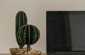 Anthemis Living - Photo 78