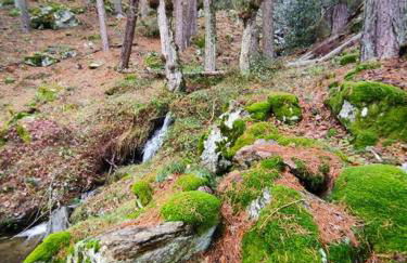 Via Fera, con vistas a la naturaleza - Foto 26