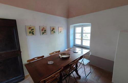 AFFRESCATO - Palazzo Ravaschieri - Foto 11