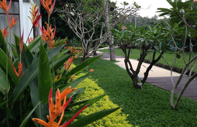 Lotus Samui - Photo 80