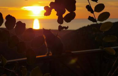 Nel verde del Villaggio - Casetta Celeste - Foto 32