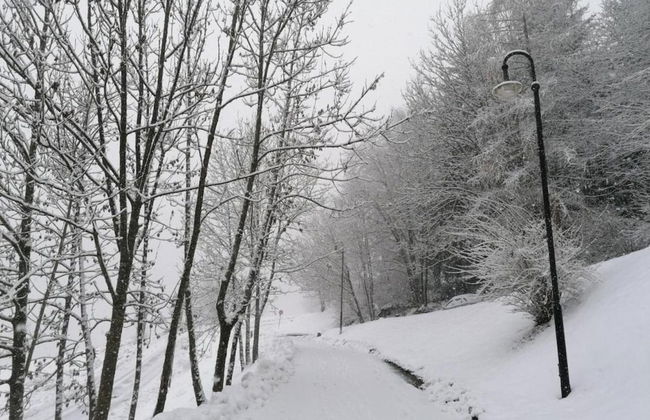 Apartment in Cavalese Near Cermis Ski Slopes - Foto 38