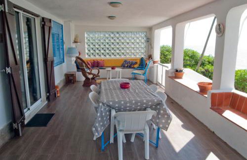 Sargantana Blava - Foto 13