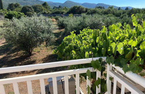 Apartmani Tonko - Foto 62