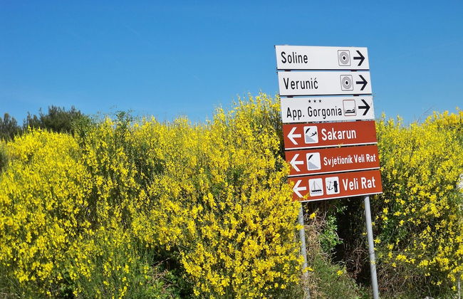 Gorgonia Apartments - Foto 31