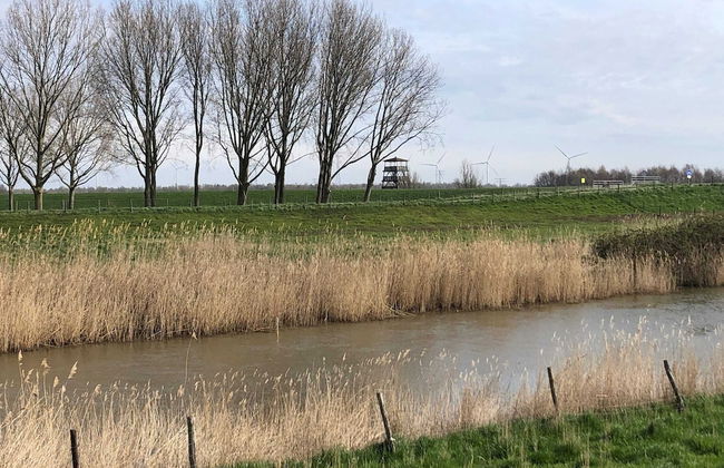 Water Villa in Ooltgensplaat Near Volkerak - Photo 32