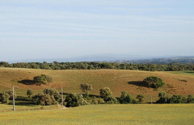 Quiet Cottage in Estate Casas da Cerca near Troviscais - Foto 38