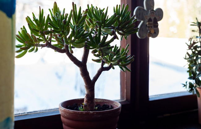 Idyllic Apartment in Sibratsgfall - Photo 17