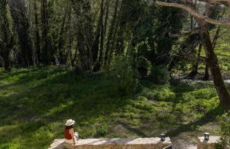 Casa da Rosalina - Photo 4