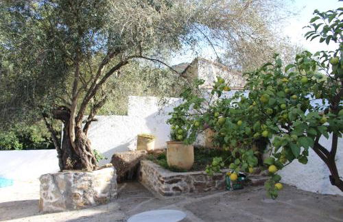 Cortijo el Puente - Photo 9