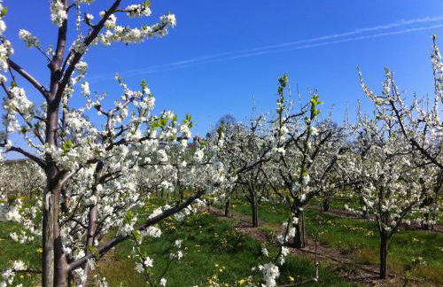 Haus Am Apfelweg - Foto 3