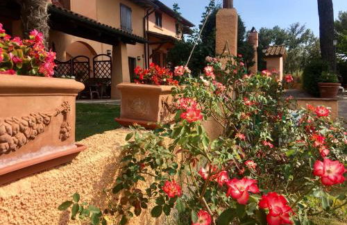 Agriturismo TERRANERA - Foto 37