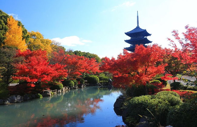 Machiya Kaemon Kyoto-sta. - Foto 47