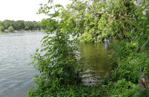 Cottage Ferienwohnung mit Seeblick - Foto 11