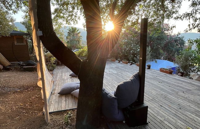 Palmira Selimiye - Foto 11