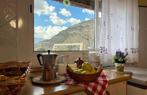 Cal Foraster - Foto 32