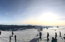 Landhotel und Apartments Sonneck - Photo 32