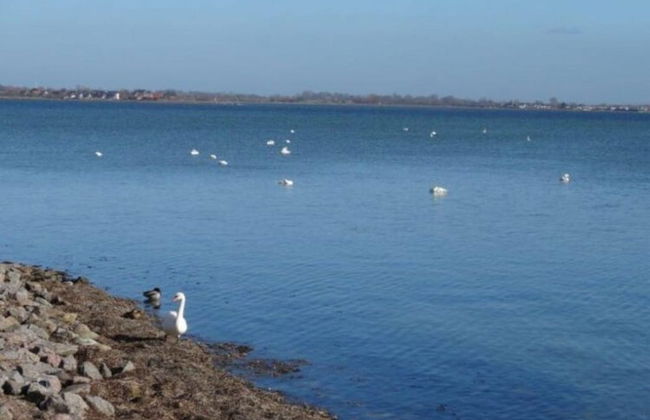 Resort Orther Reede, Fehmarn-orth - Foto 34