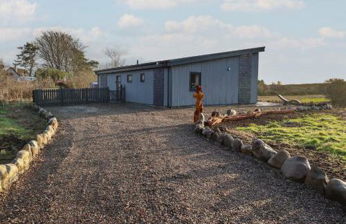 Red Squirrel - Foto 5