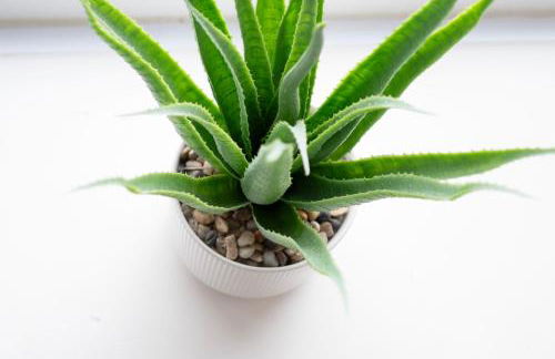 1BR River View - Parking - Sleeps 4 - Foto 31