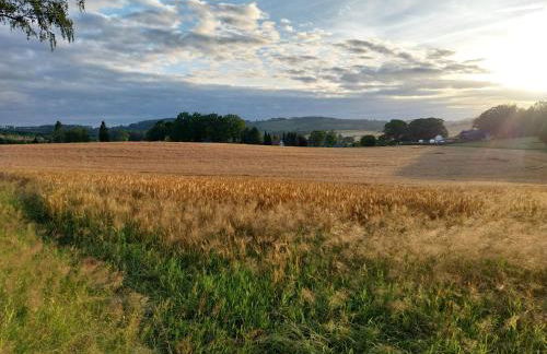 Ferienwohnung - Landhotel Waldschlößchen - Foto 24