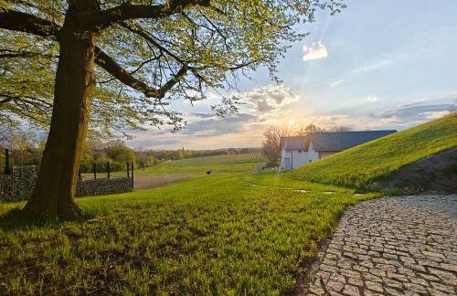 Winnica NOVI - apartamenty - Photo 18