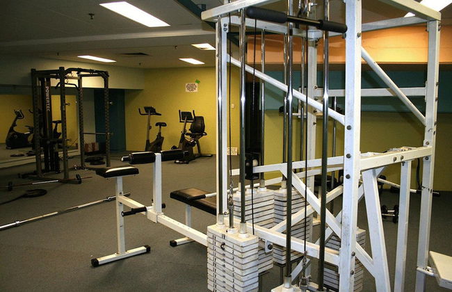 Sydney Inner City Sanctuary - Photo 17