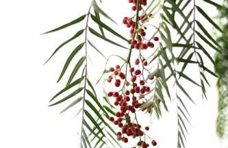 Agriturismo Pepe Rosa - Photo 2