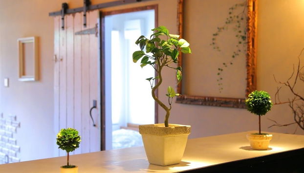 Fujinokura Tiny Fort - Foto 3, Habitación