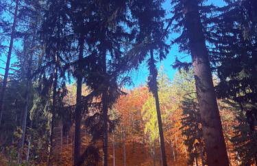 Bryziówka B - Foto 6