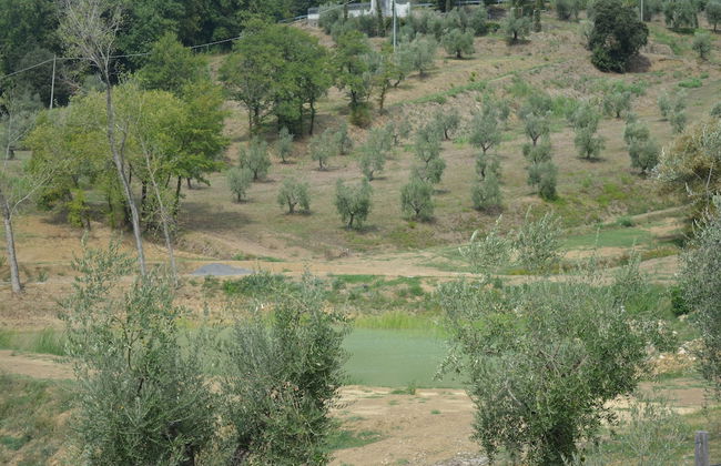 Podere delle Fanciulle - Foto 51