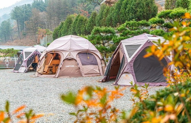 Dorothy's Forest Pension - Foto 76