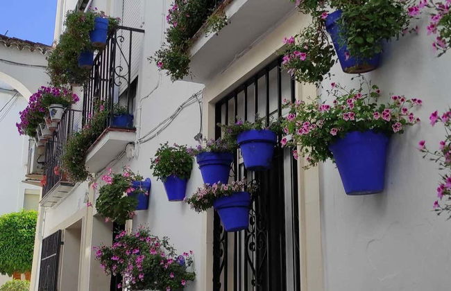 Tour in Cabra - Photo 1