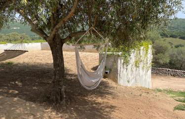 STAZZU LU CHISSONI - Foto 43