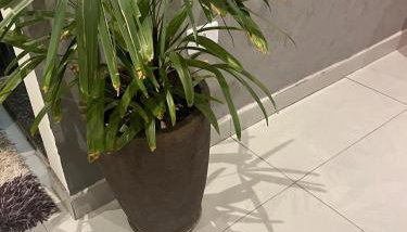 Gama Empreendimentos - Foto 3