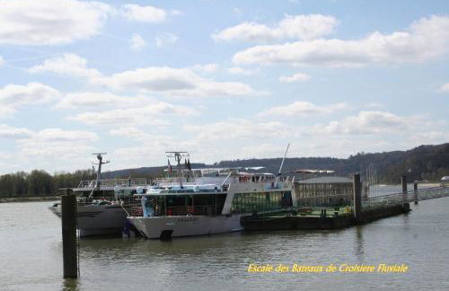 Les Hellebores - Foto 71